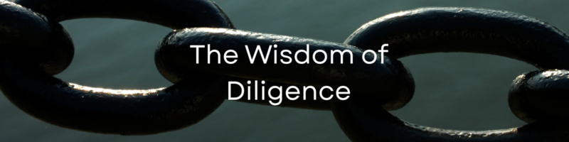 The Wisdom of Diligence (2)