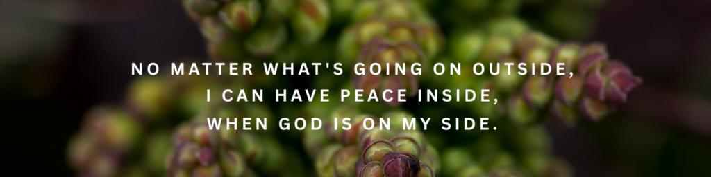 A Word on Contentment (1)