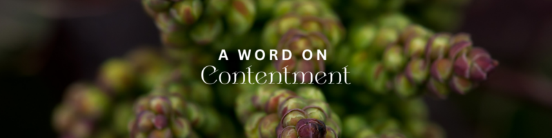 A Word on Contentment