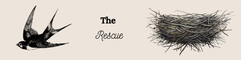 The Rescue